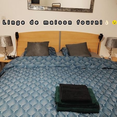 Appartement Avec Cour Plein Centre Foix Kültér fotó