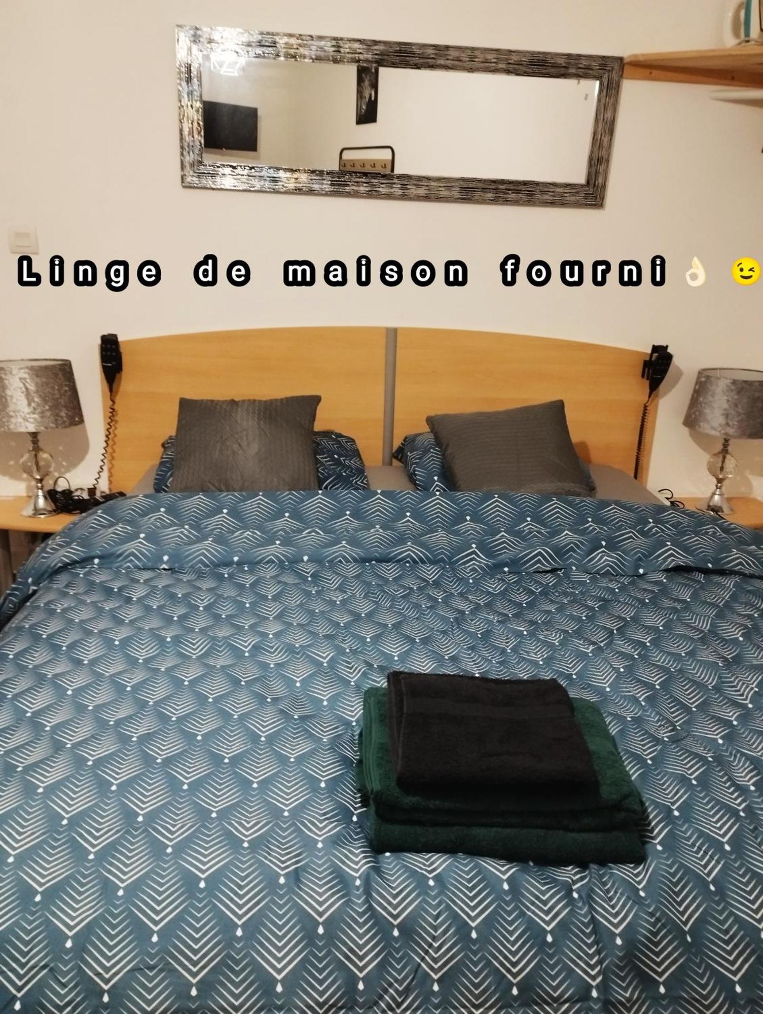 Appartement Avec Cour Plein Centre Foix Kültér fotó